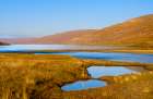 Iceland. Hvanneyrardalur and coastline Strandabyggd in fjord Isafjordur during autumn. Art Print